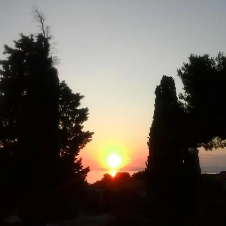 Brac Mirca *